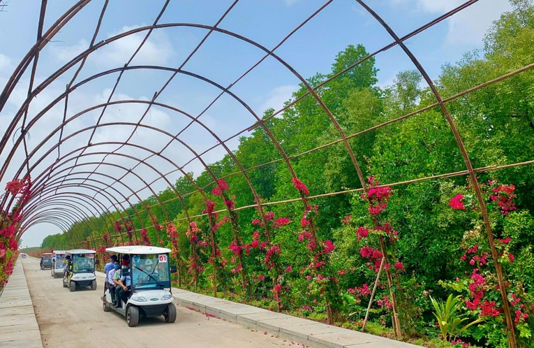 Bạc Liêu sắp khai thác khu du lịch nhà máy điện gió 5.000 tỷ đồng