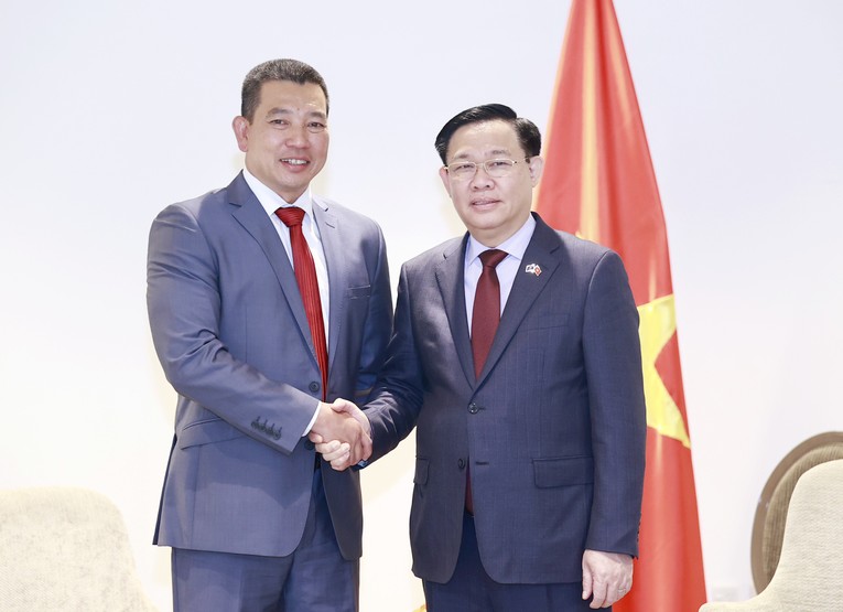 Chủ tịch Quốc hội Vương Đ&igrave;nh Huệ tiếp l&atilde;nh đạo c&aacute;c tập đo&agrave;n tại New Zealand  ảnh 2