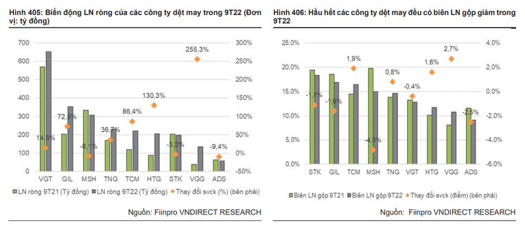 Ảnh: B&aacute;o c&aacute;o của VNDirect
