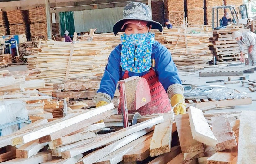 Bộ NN&amp;amp;amp;PTNT: truy xuất nguồn gốc l&acirc;m sản, gỗ c&oacute; nguồn gốc từ c&acirc;y ph&acirc;n t&aacute;n, vườn, rừng trồng trong nước đ&atilde; đảm bảo về nguồn gốc hợp ph&aacute;p.