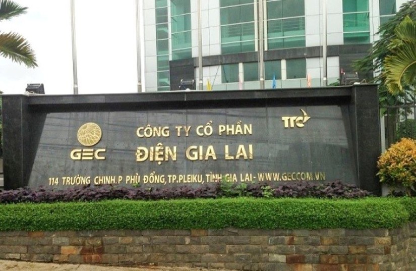 CTCP Điện Gia Lai.