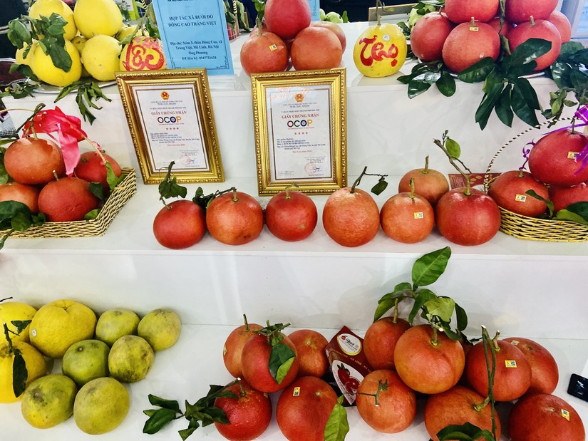 Bưởi đạt chứng nhận OCOP của Hải Dương tham gia Festival.