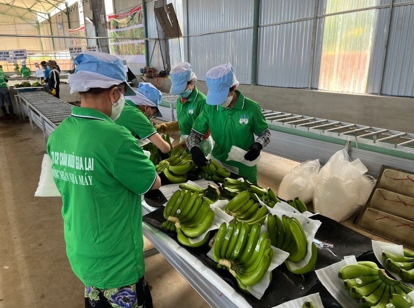 Hoàng Anh Gia Lai trả thêm 200 tỷ đồng nợ trái phiếu