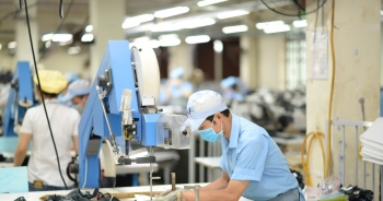 Chưa tận dụng tối đa EVFTA, thị phần hàng Việt tại EU còn thấp