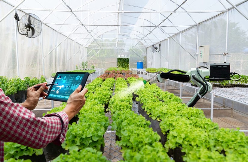 Vốn đầu tư v&agrave;o Argitech v&agrave; Foodtech giảm mạnh trong năm 2022