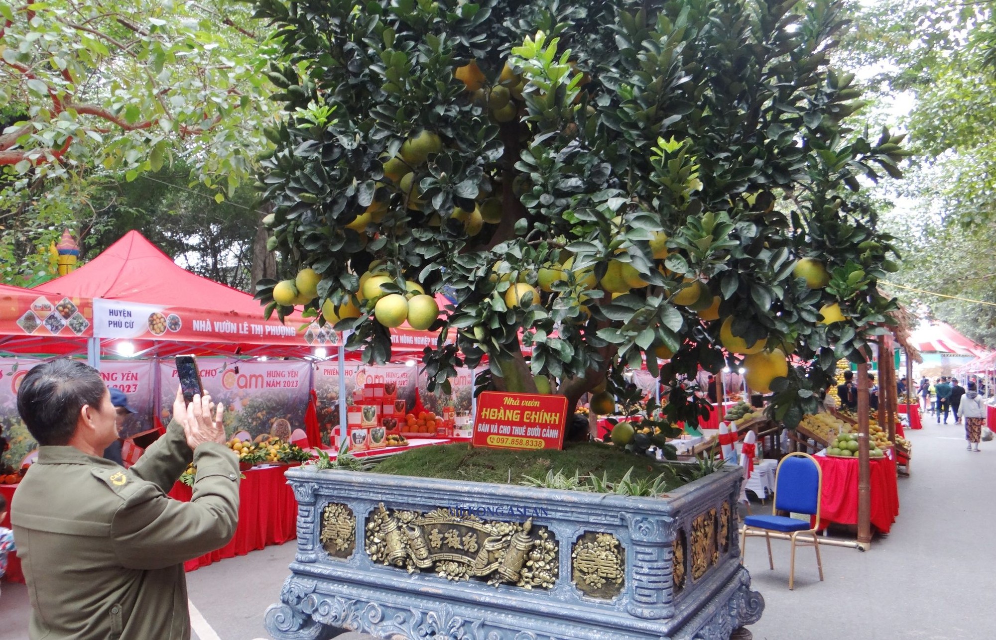 Người d&acirc;n, du kh&aacute;ch chi&ecirc;m ngưỡng, chụp ảnh check - in b&ecirc;n c&acirc;y bưởi trồng tr&ecirc;n chậu tại phi&ecirc;n chợ.