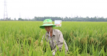 Dự án Đối tác Việt Nam – Australia về nông nghiệp bền vững tìm doanh nghiệp tham gia