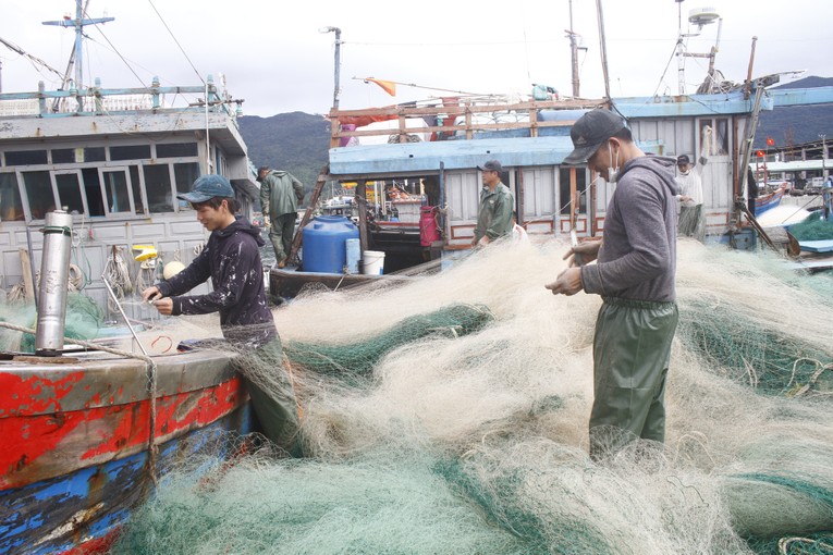 C&aacute;c tỉnh, th&agrave;nh phố trực thuộc trung ương cần mở đợt cao điểm thực thi ph&aacute;p luật từ nay đến th&aacute;ng 4/2024 trong tuần tra, kiểm tra, kiểm so&aacute;t t&agrave;u c&aacute; xuất, nhập bến, t&agrave;u c&aacute; ra v&agrave;o cảng, tại c&aacute;c cửa s&ocirc;ng, cửa biển, c&aacute;c đảo, c&aacute;c bến c&aacute; tư nh&acirc;n, truyền thống; ki&ecirc;n quyết xử l&yacute; nghi&ecirc;m c&aacute;c h&agrave;nh vi vi phạm. Ảnh minh họa: VGP