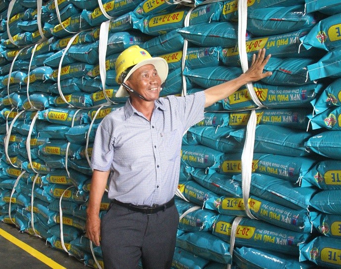 &Ocirc;ng Phan Kiến Nghĩa đ&aacute;nh gi&aacute; từ ng&agrave;y sử dụng NPK Ph&uacute; Mỹ năng suất cũng như chất lượng c&acirc;y m&iacute;a tăng l&ecirc;n r&otilde; rệt. Nguồn: PVFCCo.