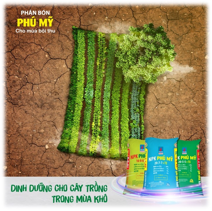 C&aacute;c sản phẩm NPK Ph&uacute; Mỹ cho c&acirc;y trồng trong m&ugrave;a kh&ocirc;.