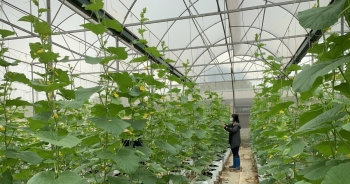 Số liệu sản xuất, xuất khẩu ngành nông nghiệp năm 2023